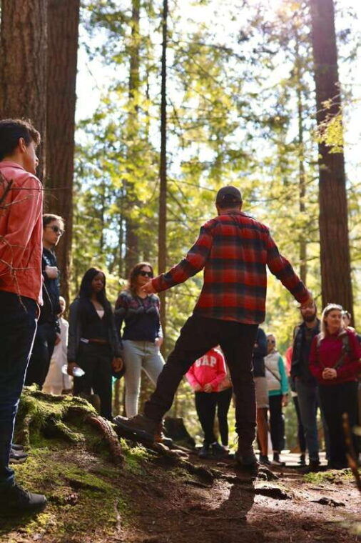 vancouver-guided-hiking-highlights-at-grouse-lynn-canyon