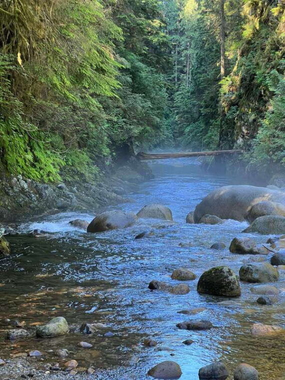 vancouver-rainforest-waterfall-hike-and-suspension-bridge