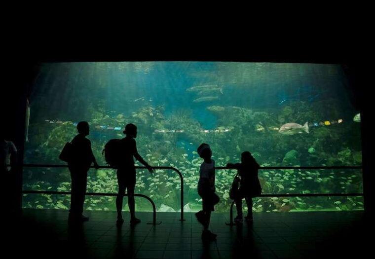 veracruz-panoramic-sightseeing-city-tour-and-aquarium