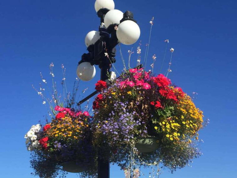 victoria-bc-city-tour-and-butchart-gardens-combo-tour