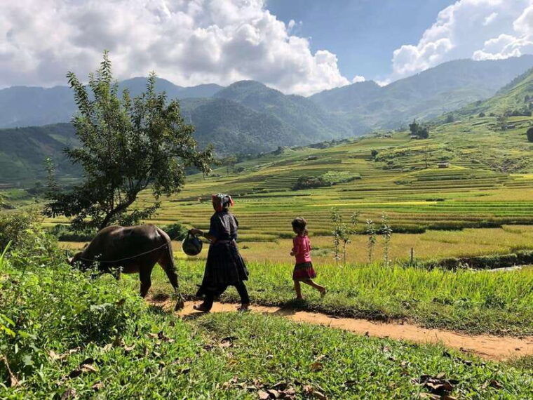 visit-villages-terrace-rice-field-with-easy-riders-half-day