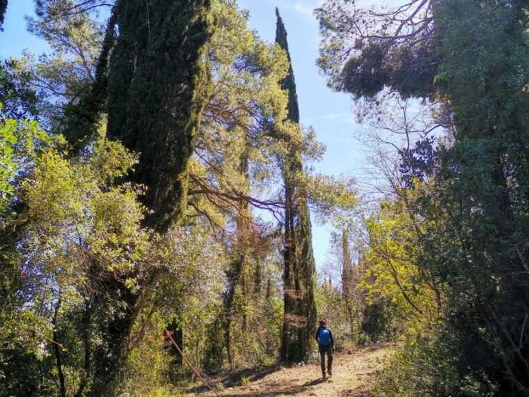 walking-through-ancient-konavle-villages-with-a-tasty-finish