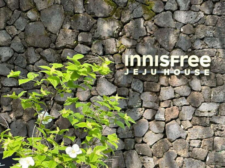 western-jeju-healing-unesco-small-group-day-tour