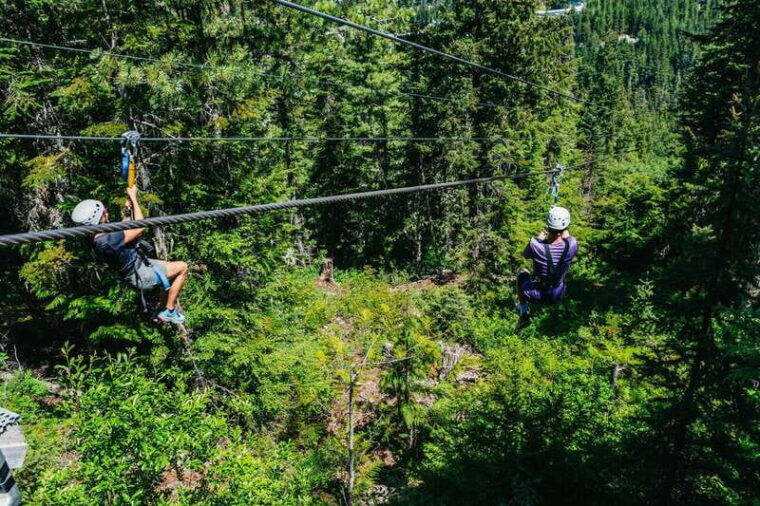 whistler-ziplining-experience