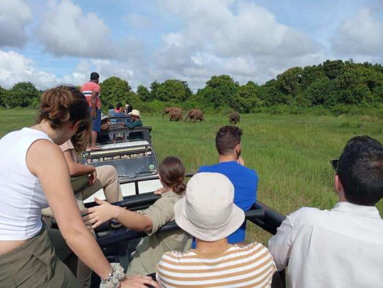 wildlife-experience-at-minneriya-national-park-safari