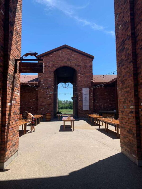 wine-cheese-afternoon-wine-tours-in-notl