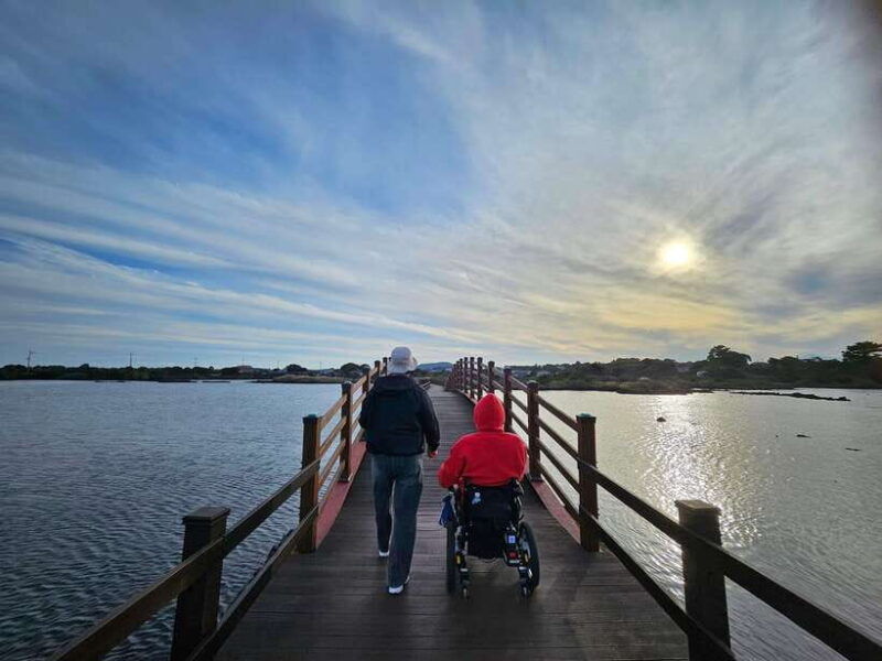 a-trip-to-jeju-island-in-a-wheelchair-wheelchair-tour