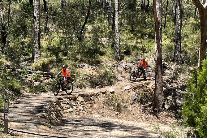 Adelaide Hills full day E-Bike Hire - Key Points