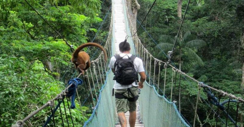 adventure-in-the-jungle-zipline-canopy-kayak