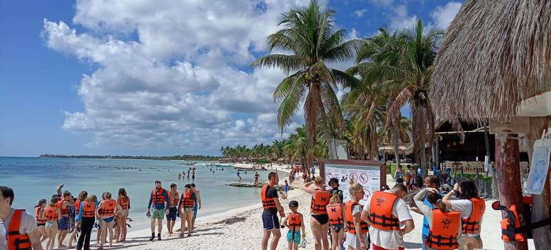 akumal-swimming-with-turtles-tour