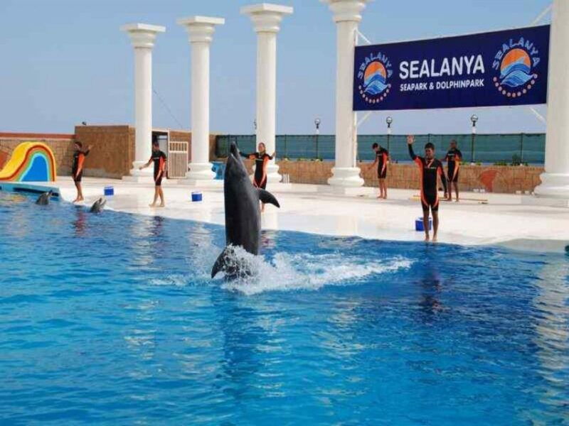 alanya-dolphin-and-seal-show-ticket-with-hotel-transfers