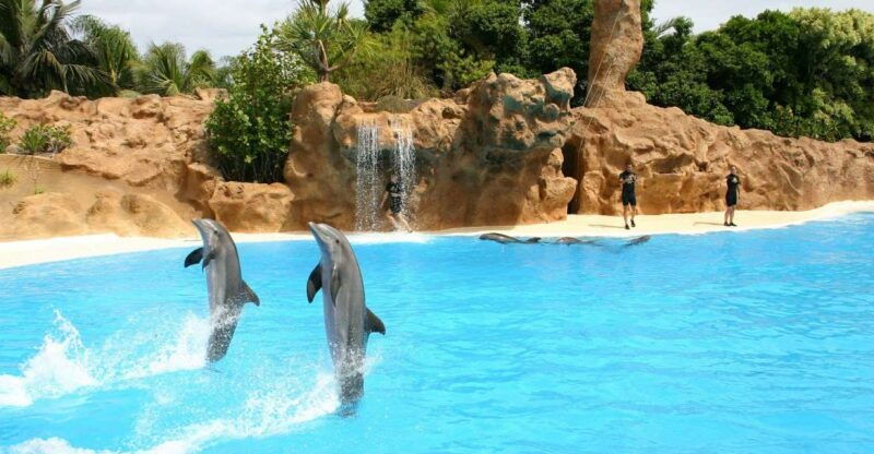 alanya-sealanya-dolphinpark-dolphin-show-tour