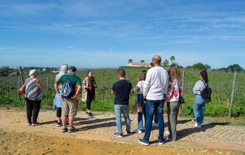 albufeira-city-highlights-wine-tasting