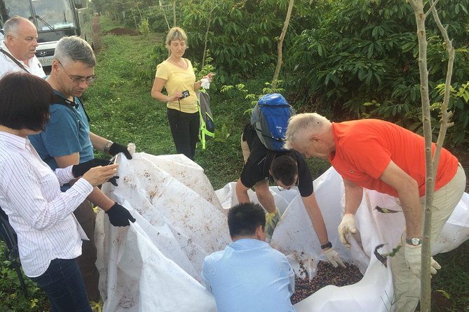 Amazing Coffee full-day tour in Buon Ma Thuot - Daklak - In-Depth Look at the Tour Experience