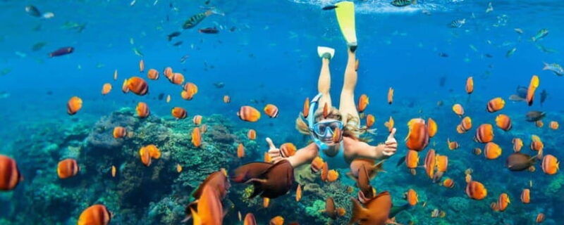 amed-snorkeling-tour-with-japanese-shipwreck-and-coral