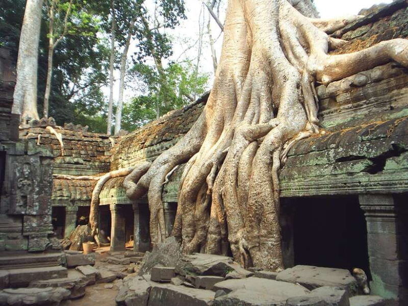 angkor-wat-small-group-tour-with-balloon-ride-and-lunch