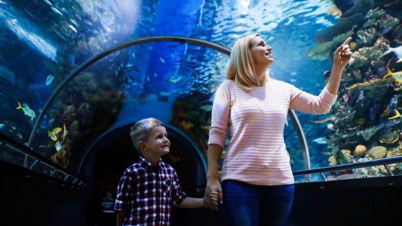 antalya-aquarium-and-wax-museum-entry-ticket