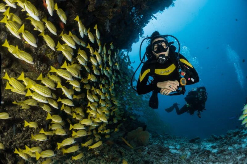 antalya-belek-scuba-diving-tour-with-2-time-dive-lunch