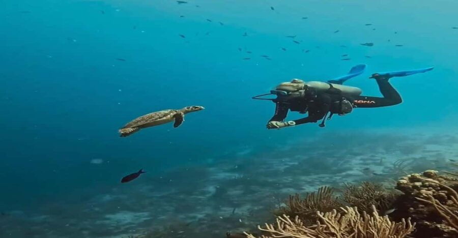 antalya-side-and-alanya-scuba-diving-with-lunch-2-dives