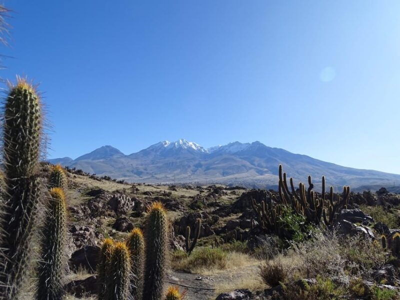 arequipa-the-rocks-park-and-chilina-valley-bike-tour