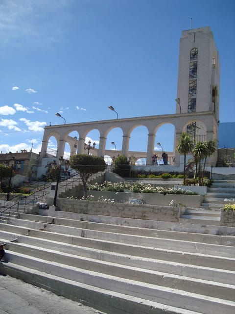 arequipa-tour-alpaca-world