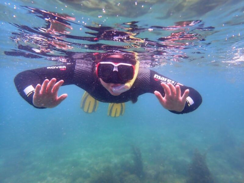 arrabida-snorkeling-experience-in-arrabida-marine-reserve
