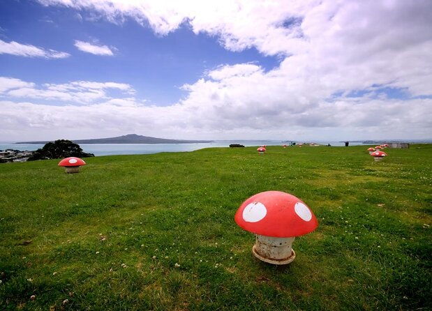 Auckland tours and transfers by hourly Booking - Key Points