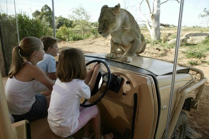 Australian Experience at Werribee Open Range Zoo - excl. entry - Australian Experience at Werribee Open Range Zoo - excl. entry