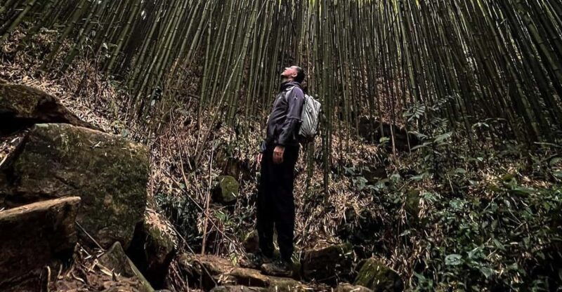 authentic-experiencebambooforestwaterfall-less-tourist
