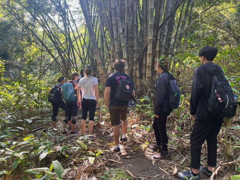 authentic-trek-only-walk-in-chiang-rai-jungle