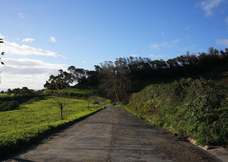 azores-sao-miguel-and-lagoa-do-fogo-hiking-trip