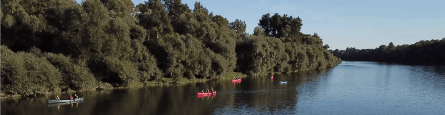 bad-bellingen-beginners-canoe-tour-on-the-altrhein