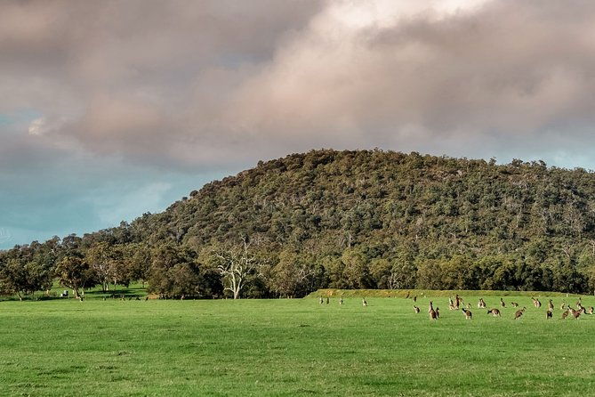 Baldwins Bluff Guided Hike - Exploring the Baldwins Bluff Guided Hike: A Walk Through Serpentine National Park