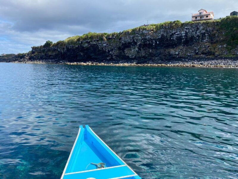 baleen-memory-unforgettable-ride-in-the-waters-of-pico