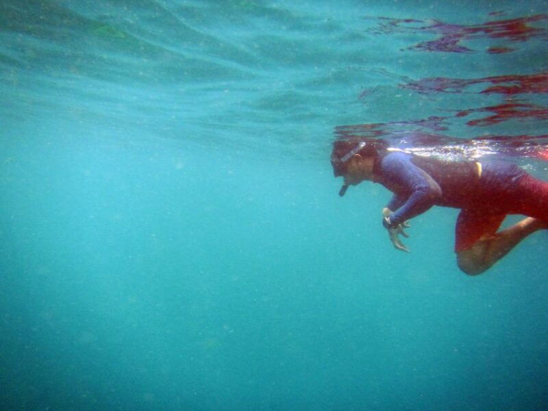 bali-1-hour-snorkeling-at-nusa-dua-beach