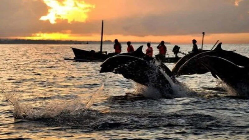 bali-3-day-north-bali-tour-with-dolphin-watching