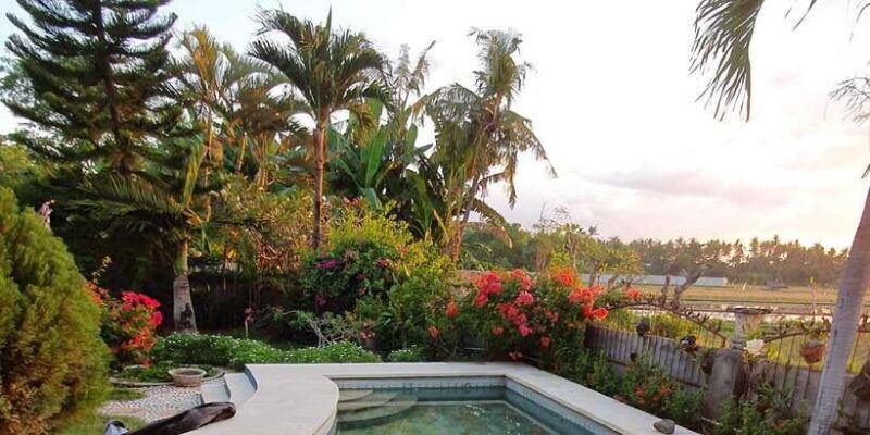 bali-aqua-healing-lovina-unique-body-experience