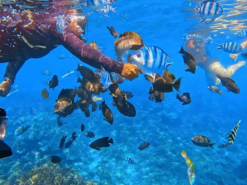 bali-atv-ride-and-snorkeling-tour-with-hotel-transfer