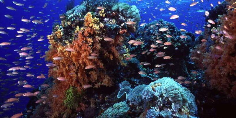 bali-benoa-lembongan-reef-water-activities-day-cruise