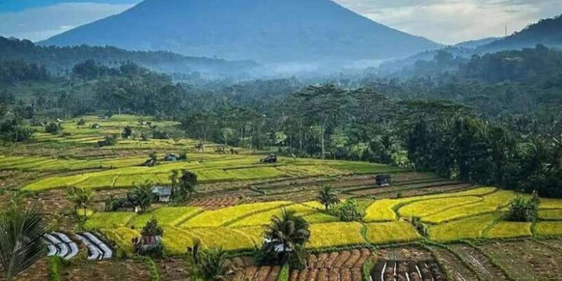 bali-besakih-temple-and-sidemen-tour