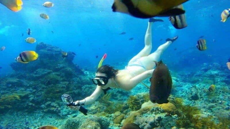 bali-blue-lagoon-and-tanjung-jepun-snorkeling-tour-2