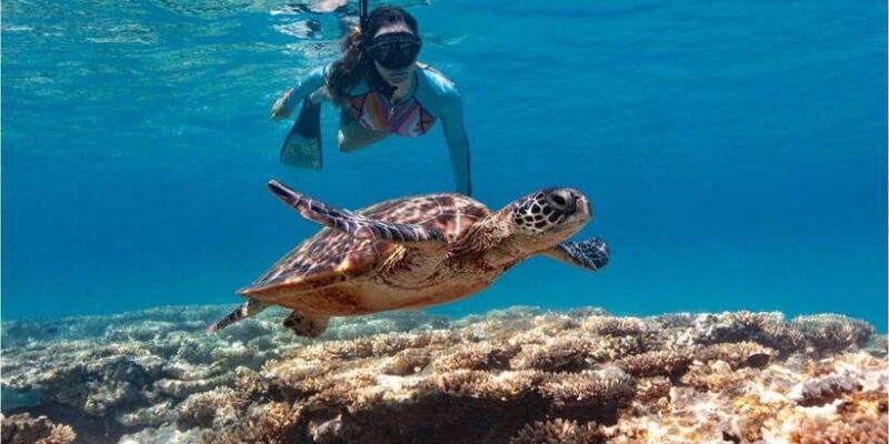 bali-blue-lagoon-snorkeling-with-lunch-transport