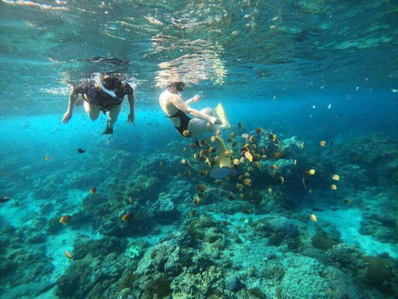 bali-blue-lagoon-snorkeling-with-meal
