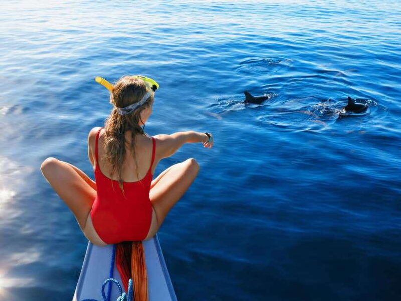 bali-dolphin-watching-aling-aling-waterfall-and-coffee