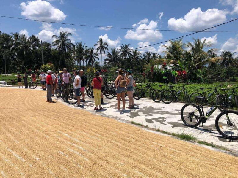 bali-downhilll-cycling-marigold-farm-rice-field-temple