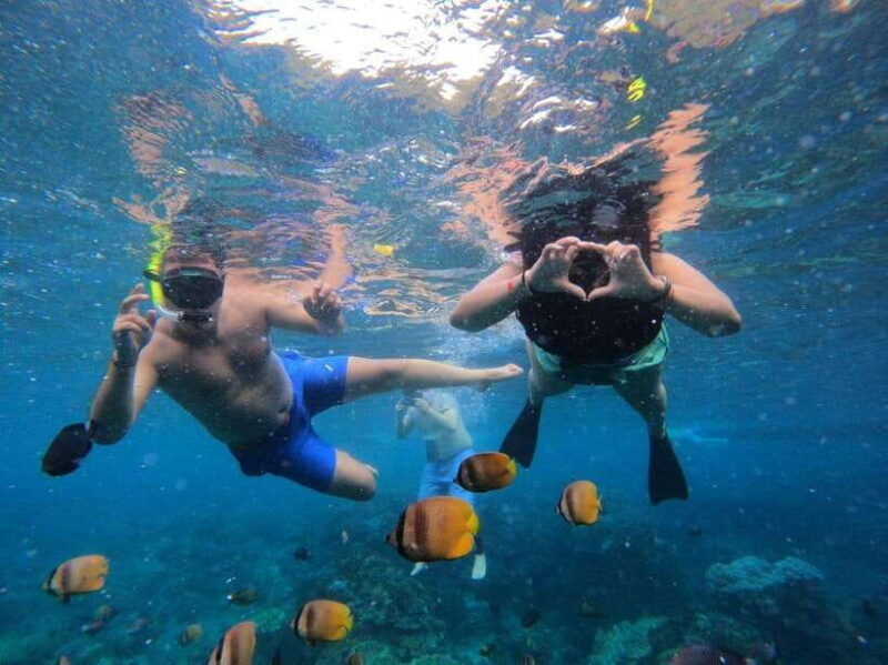 bali-full-day-trip-fishing-snorkelingeat-in-candidasa