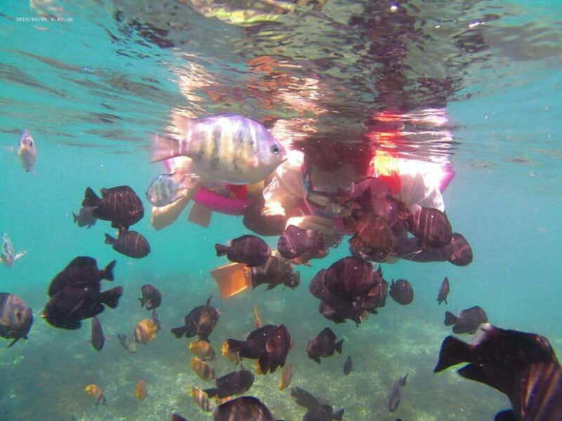 bali-highlights-snorkeling-to-blue-lagoon-with-local-expert