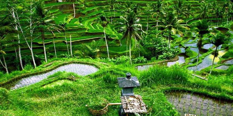 bali-instagenic-tour