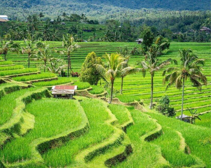 bali-jatiluwih-ulun-danu-beratan-handara-and-leke-leke