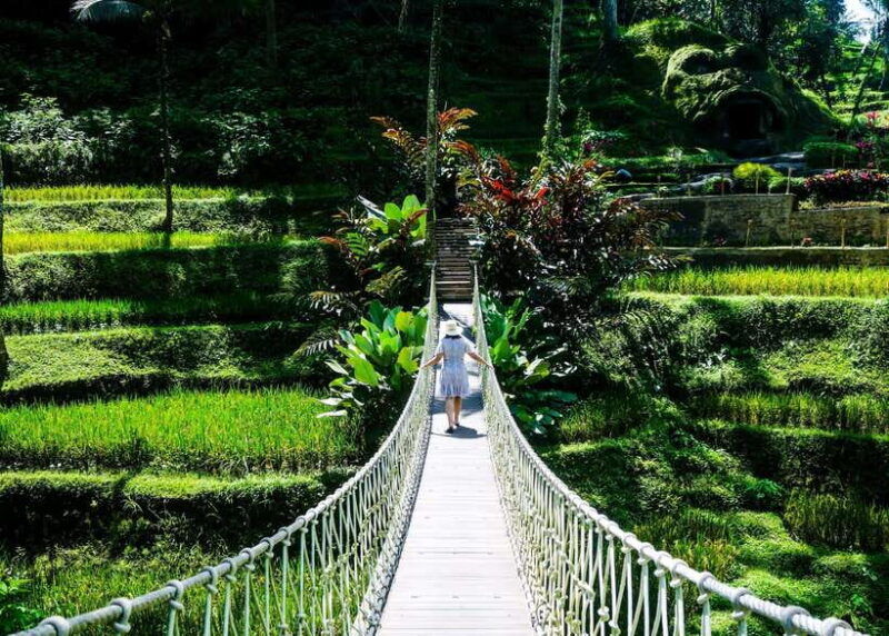 bali-kintamani-tegalalang-and-coffee-plantation-tour